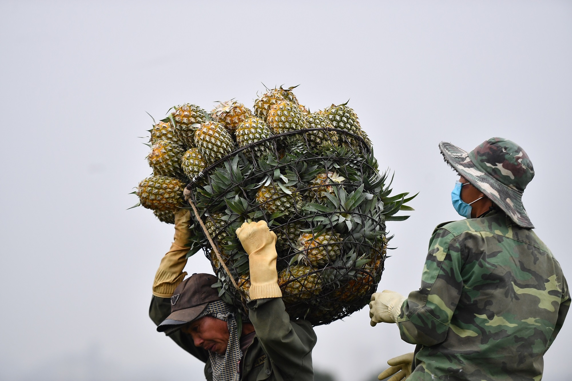 Ngan hang rot gan 1 trieu ty dong tin dung vao DBSCL hinh anh