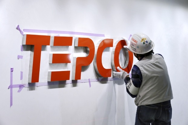 Tepco chi gan 800 ty mua co phan cong ty dien Viet Nam hinh anh