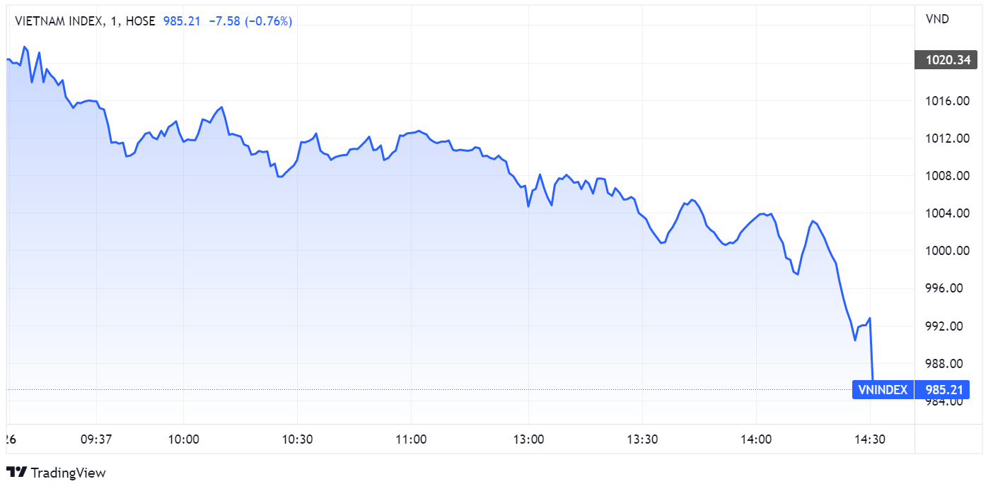ban thao,  co phieu,  thung moc anh 1