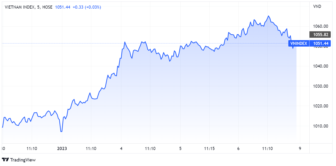 VN-Index,  dong tien,  du bao anh 1