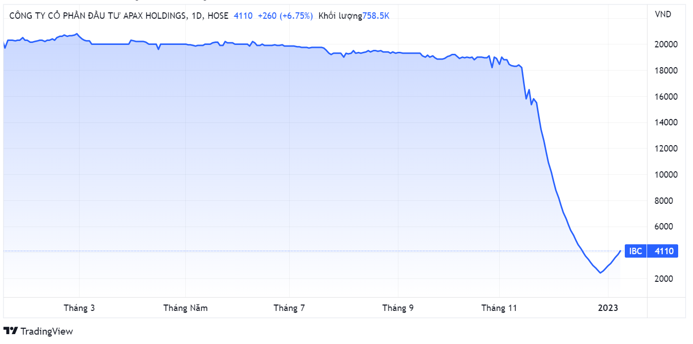 Egroup,  Apax Holdings,  Nguyenx Ngoc Thuy anh 1