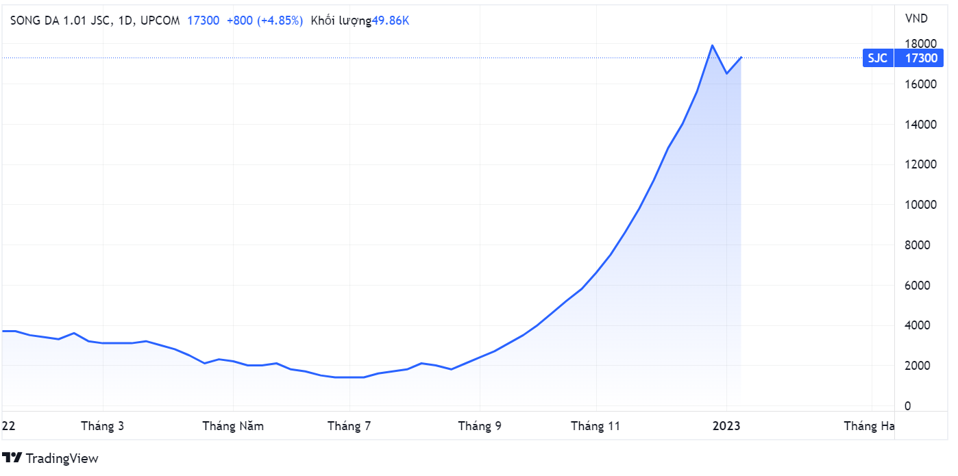 co phieu,  Song Da 1.01,  thau tom anh 2