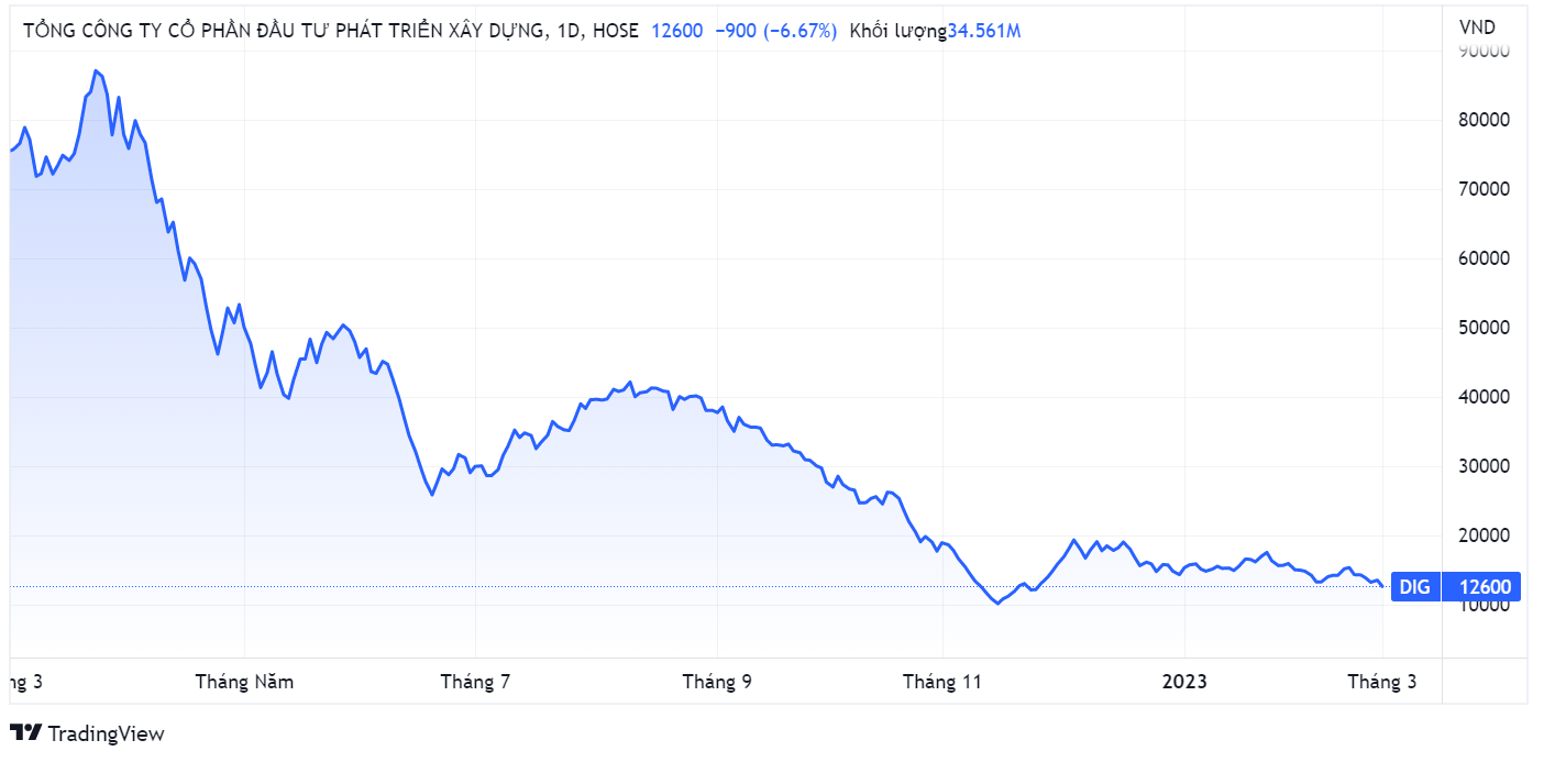 DIC Corp,  thanh tra,  co phieu anh 2