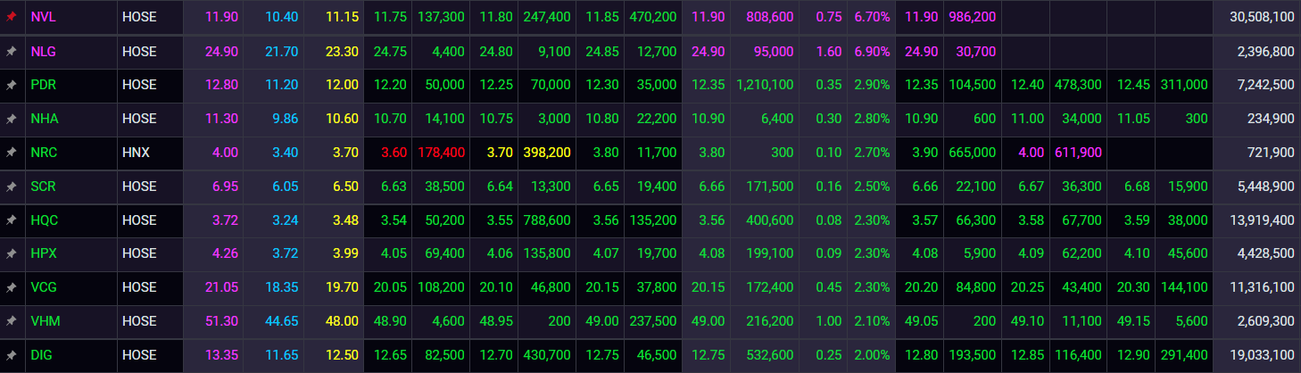 Novaland,  Vinhomes,  tang tran anh 1