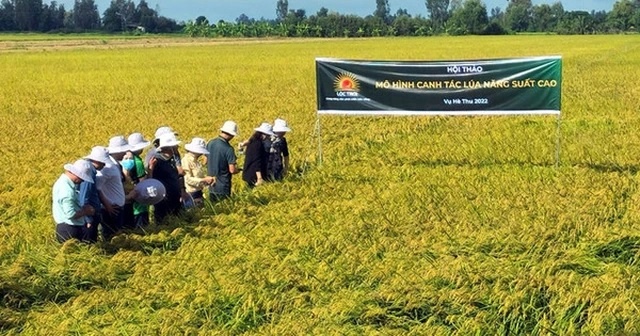 Loc Troi se tang von dieu le len 1.000 ty dong hinh anh