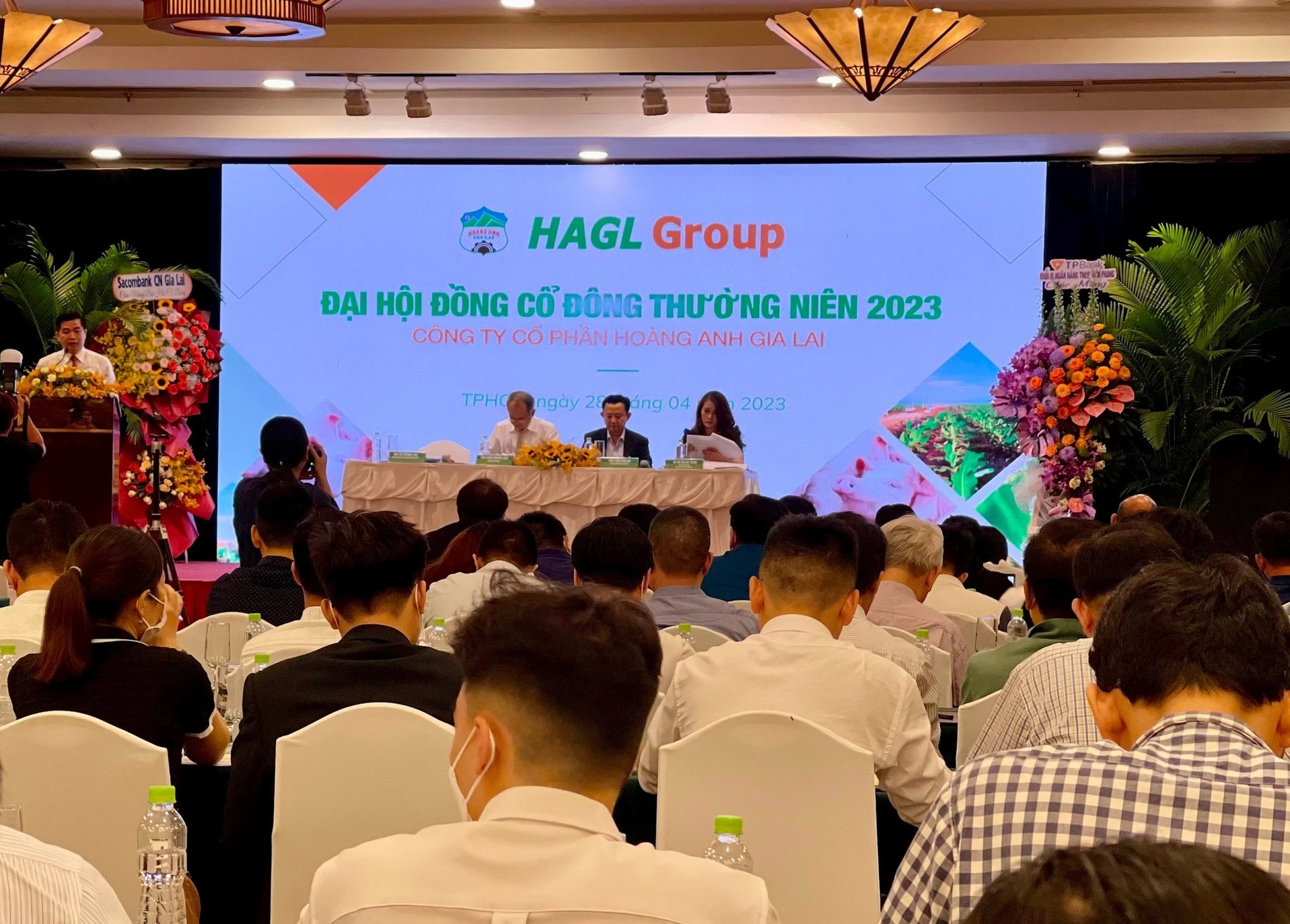 HAGL,  bau Duc,  kinh doanh anh 1