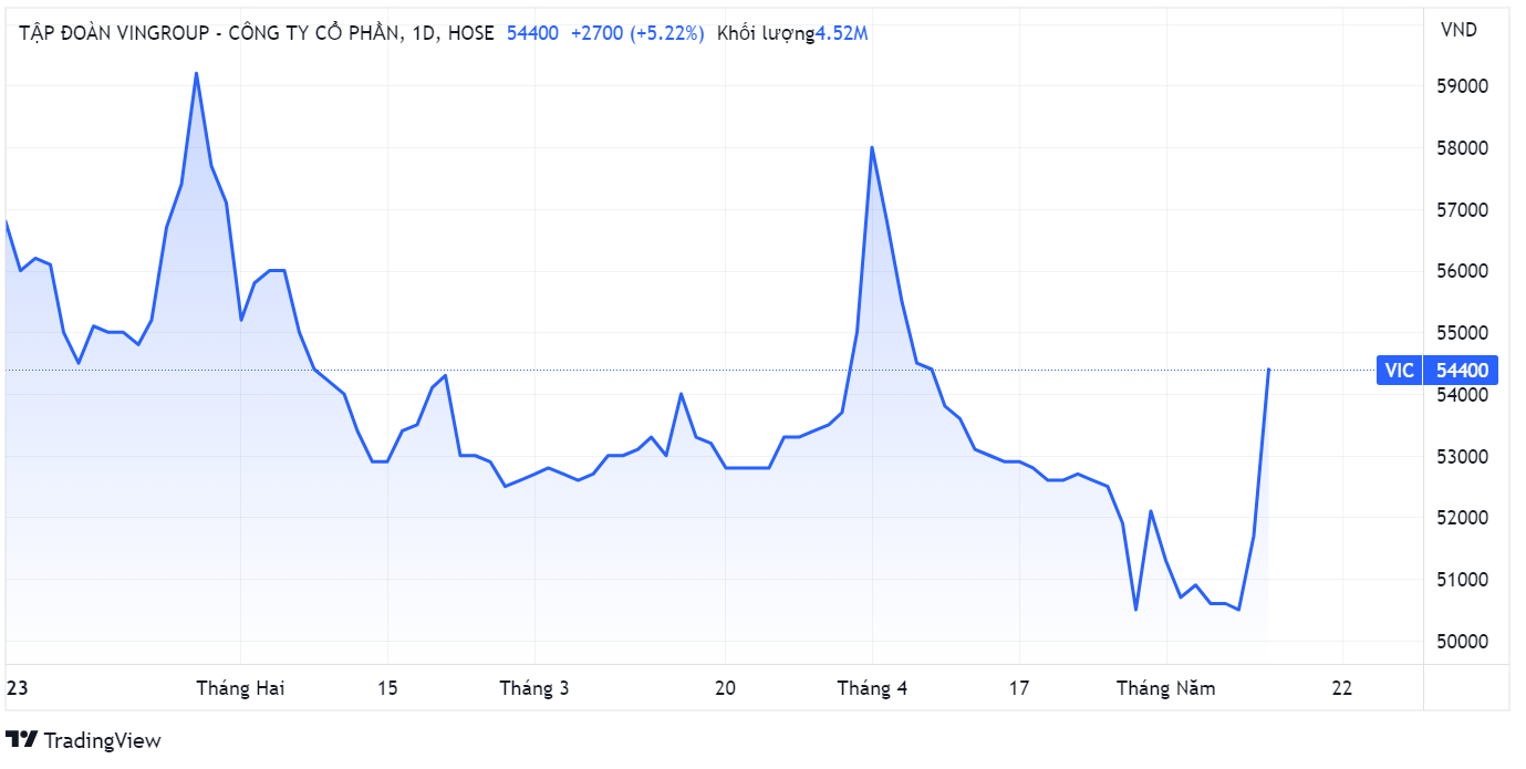 vingroup,  Vinfast,  niem yet anh 1