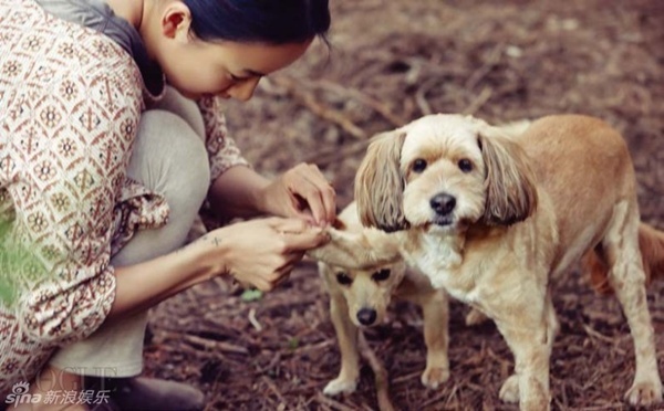 Lee Hyori rất yêu các chú chó của mình. Cô từng tâm sự tình yêu động vật là điểm chung khiến cô và chồng yêu nhau hơn.