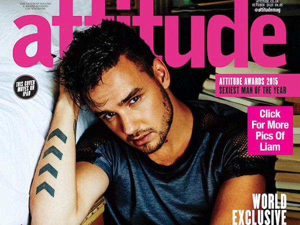 Liam Payne tra loi phong van ve tin don gioi tinh cua 1D hinh anh