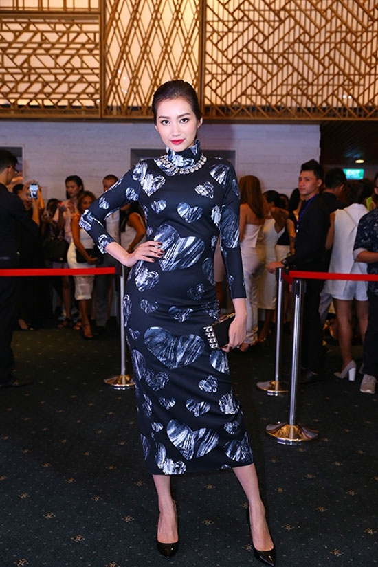 Trúc Diễm từng nhiều lần