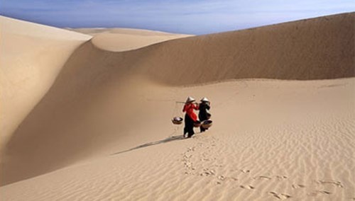 Bức ảnh chụp cồn cát của Nguyễn Thịnh, một trong số ảnh của vụ “700 bức ảnh bị dùng kiểu khuyết danh”.