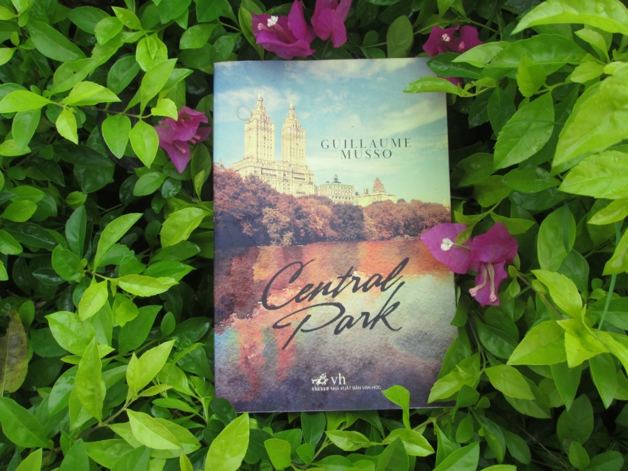 Cuoc gap bat ngo o Central Park hinh anh