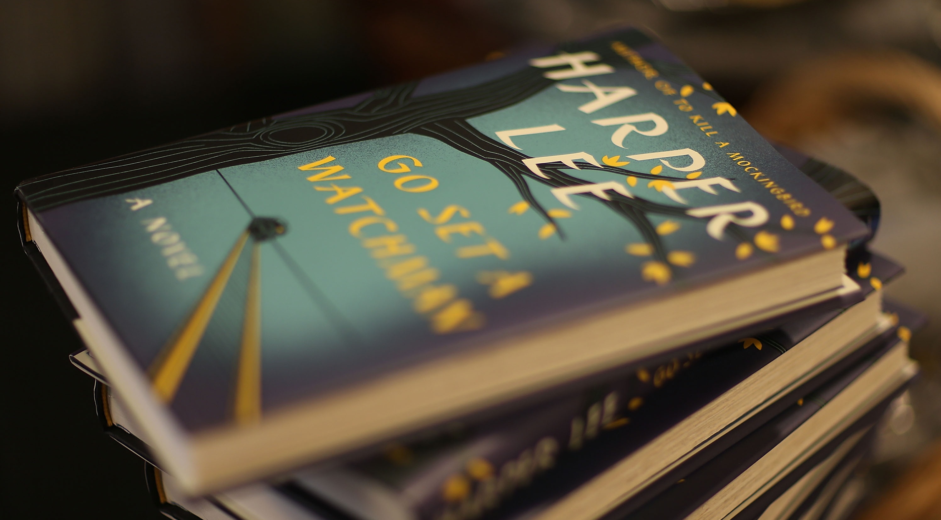 Phan 2 'Giet con chim nhai' gay tranh cai ve noi dung hinh anh