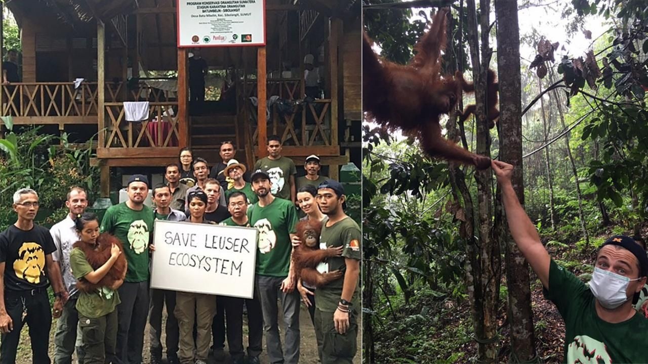 Leonardo DiCaprio bị Indonesia tẩy chay ảnh 1 Leonardo DiCaprio bi Indonesia tay chay anh 1