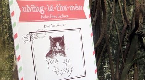 Tam tinh ngay ngo cua co meo dang yeu hinh anh