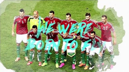 David Guetta ft. Zara Larsson - This One's For You (Official Audio) (UEFA EURO 2016™ Official Song) hinh anh