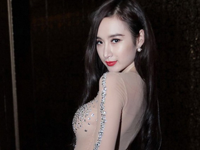 Nhung ly do bi cam dien cua ca si Viet hinh anh