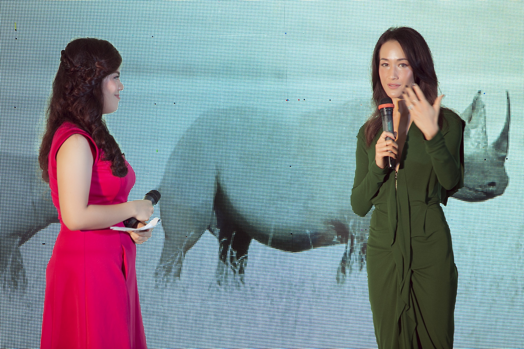 Trong vai trò đại sứ, Maggie Q cho biết: “Tôi rất ấn tượng với con số các nghệ sĩ và các nhà lãnh đạo doanh nghiệp có mặt hôm nay để ủng hộ chiến dịch. Tôi rất buồn khi biết về số lượng tê giác đã bị giết để lấy sừng mang bán ở Việt Nam. Tôi tin rằng Việt Nam có thể trở thành một nước đi đầu trong việc chấm dứt nạn buôn bán sừng tê giác. Chúng ta có thể chấm dứt việc giết hại dã man và vô lý loài tê giác tuyệt vời này”.