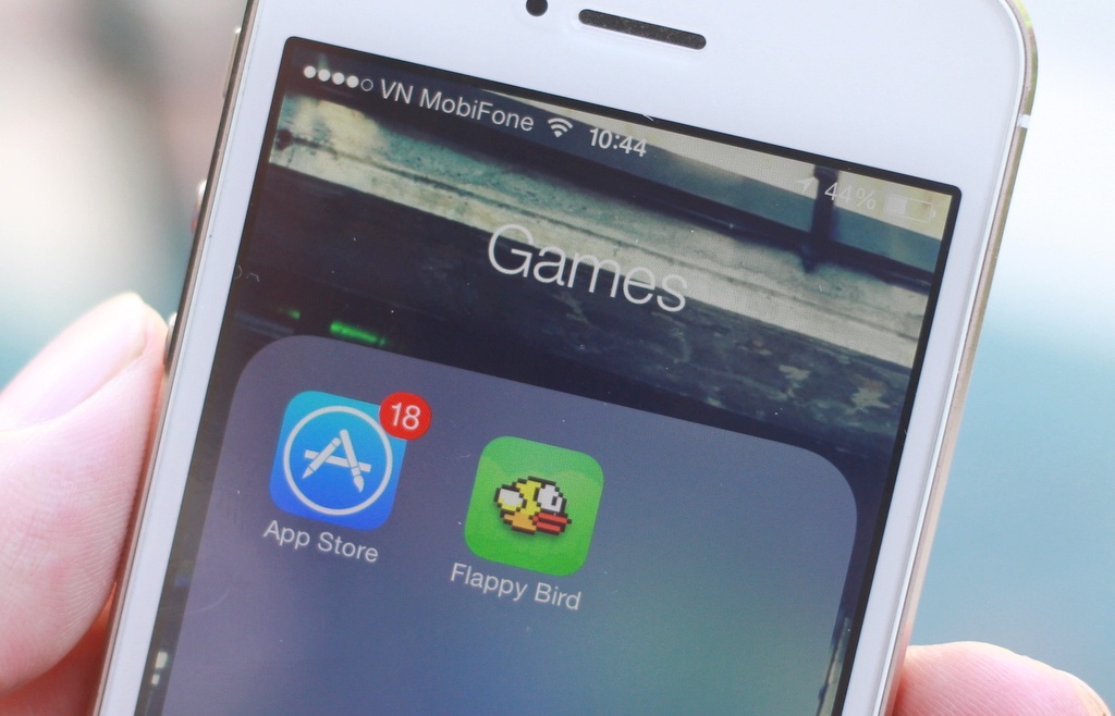 'Go bo Flappy Bird la quyet dinh thong minh cua Ha Dong' hinh anh