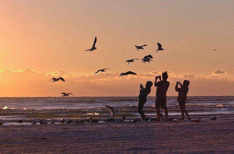 Để chụp một bức ảnh tốt, đòi hỏi người chụp sáng tạo nhiều hơn. Ảnh: Spangles44.