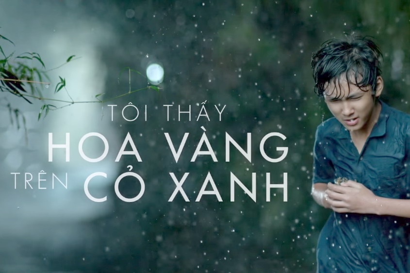 'Toi thay hoa vang tren co xanh' duoc tim nhieu nhat tuan hinh anh