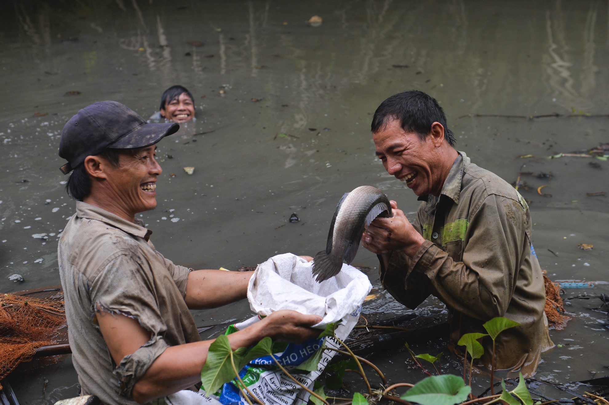 phong su anh tren Zing.vn anh 5