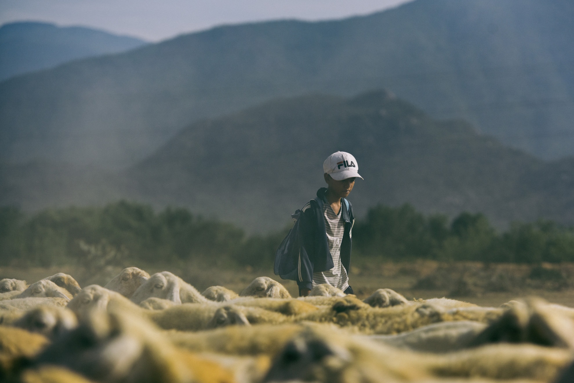 phong su anh tren Zing.vn anh 13