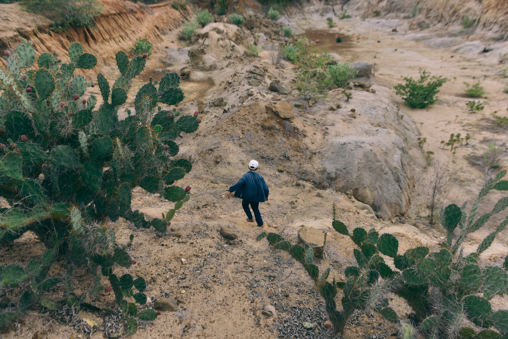 phong su anh tren Zing.vn anh 14