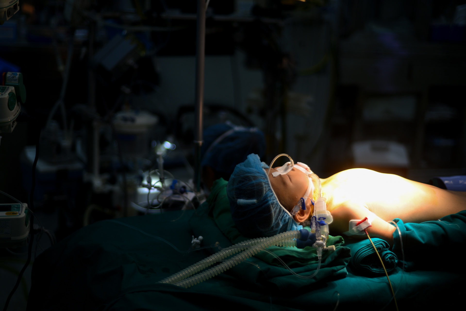 phong su anh tren Zing.vn anh 32