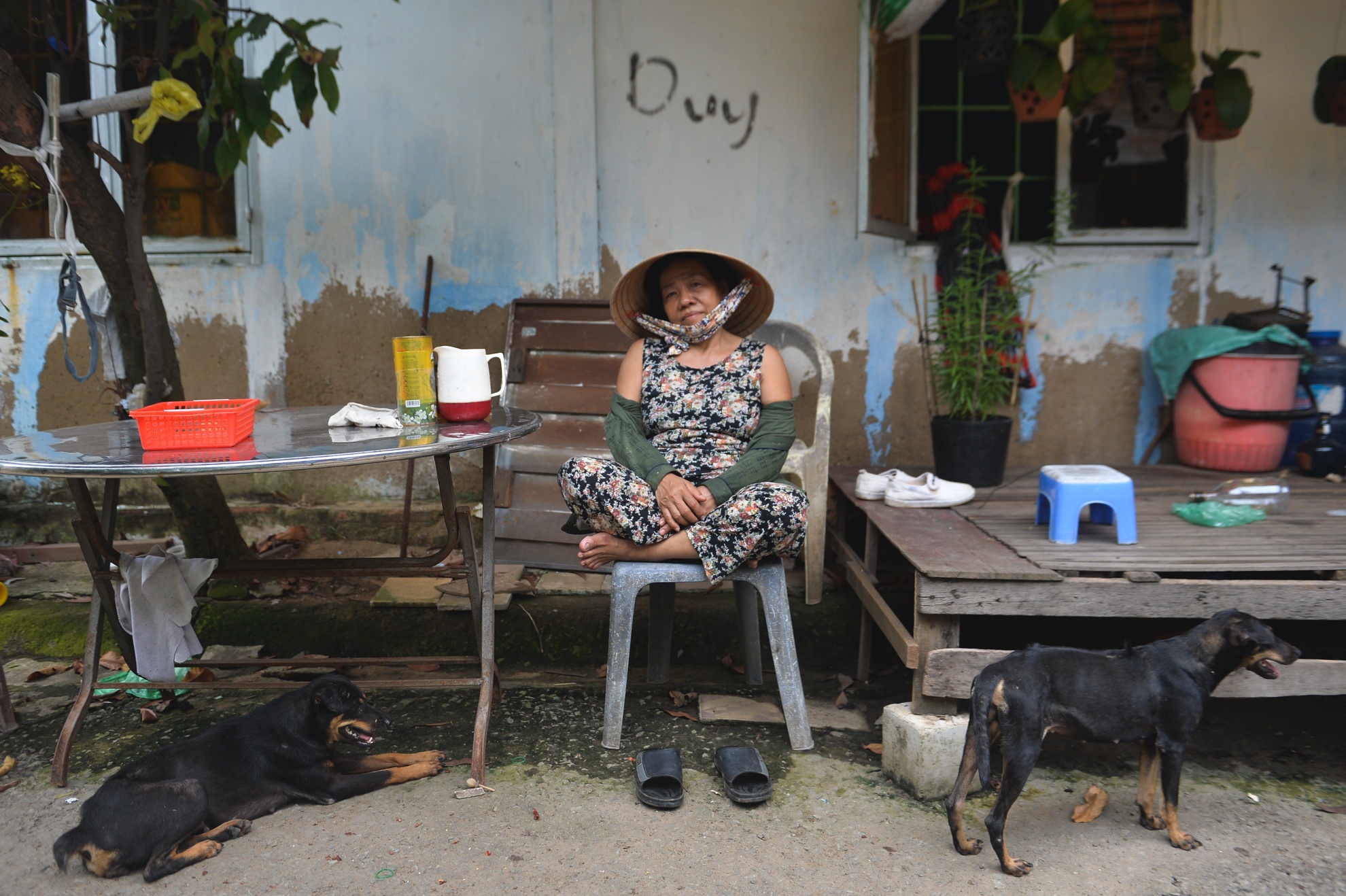 phong su anh tren Zing.vn anh 8