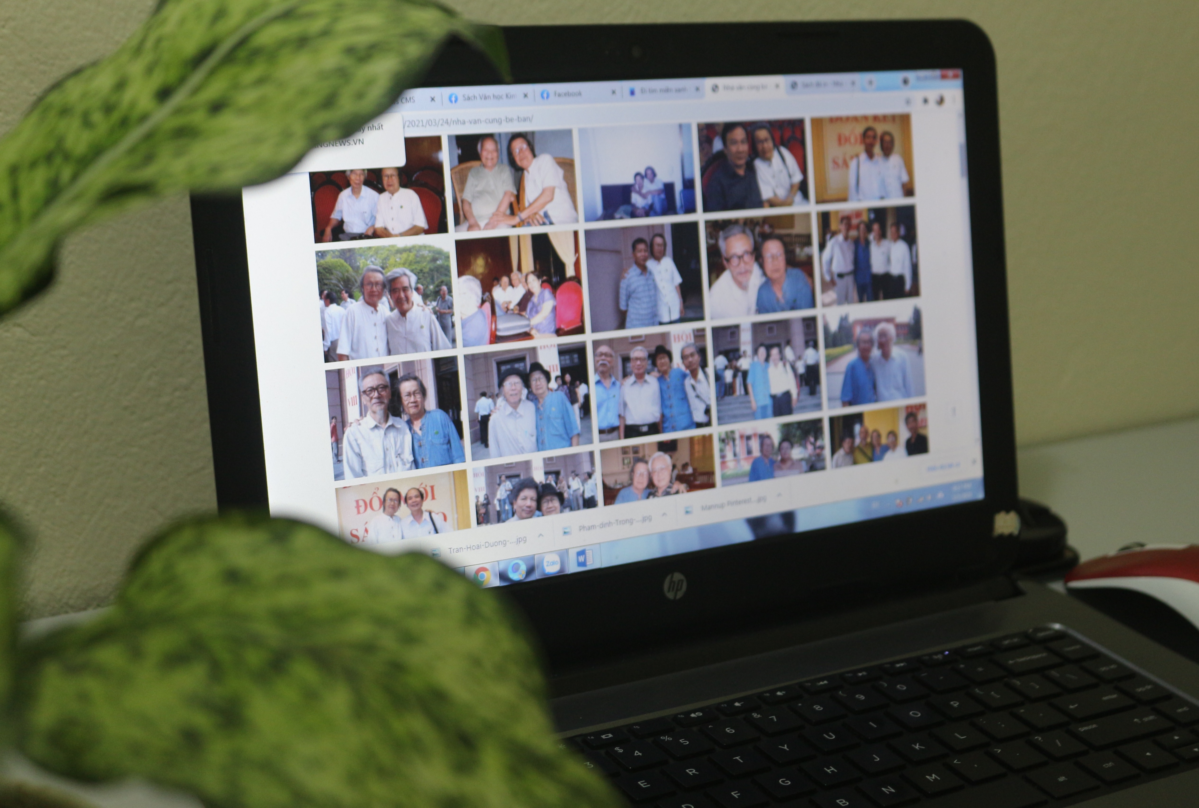 Nha van Tran Hoai Duong anh 2