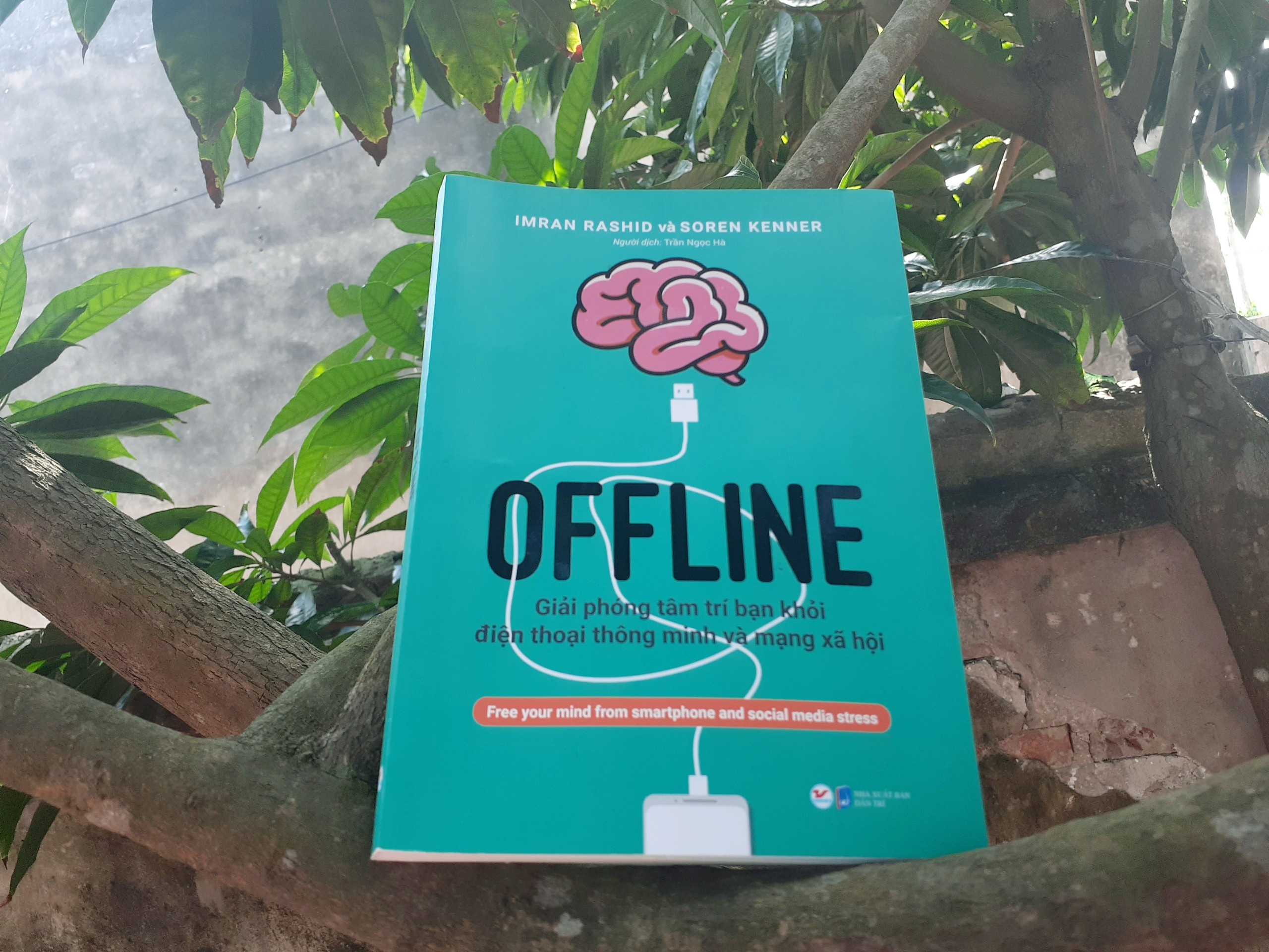 doc sach hieu qua anh 1