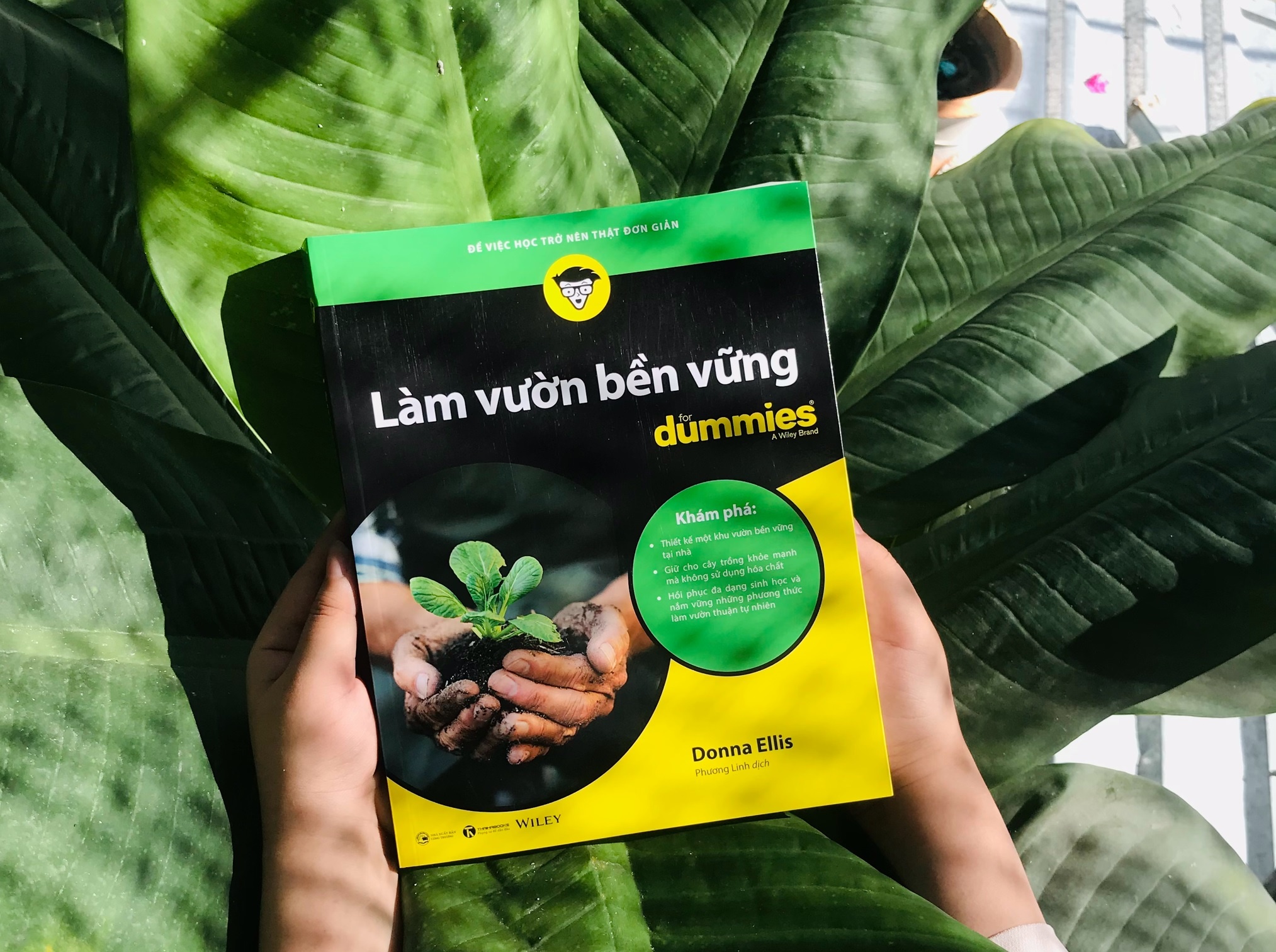 Vuon cay ben vung mua dich hinh anh