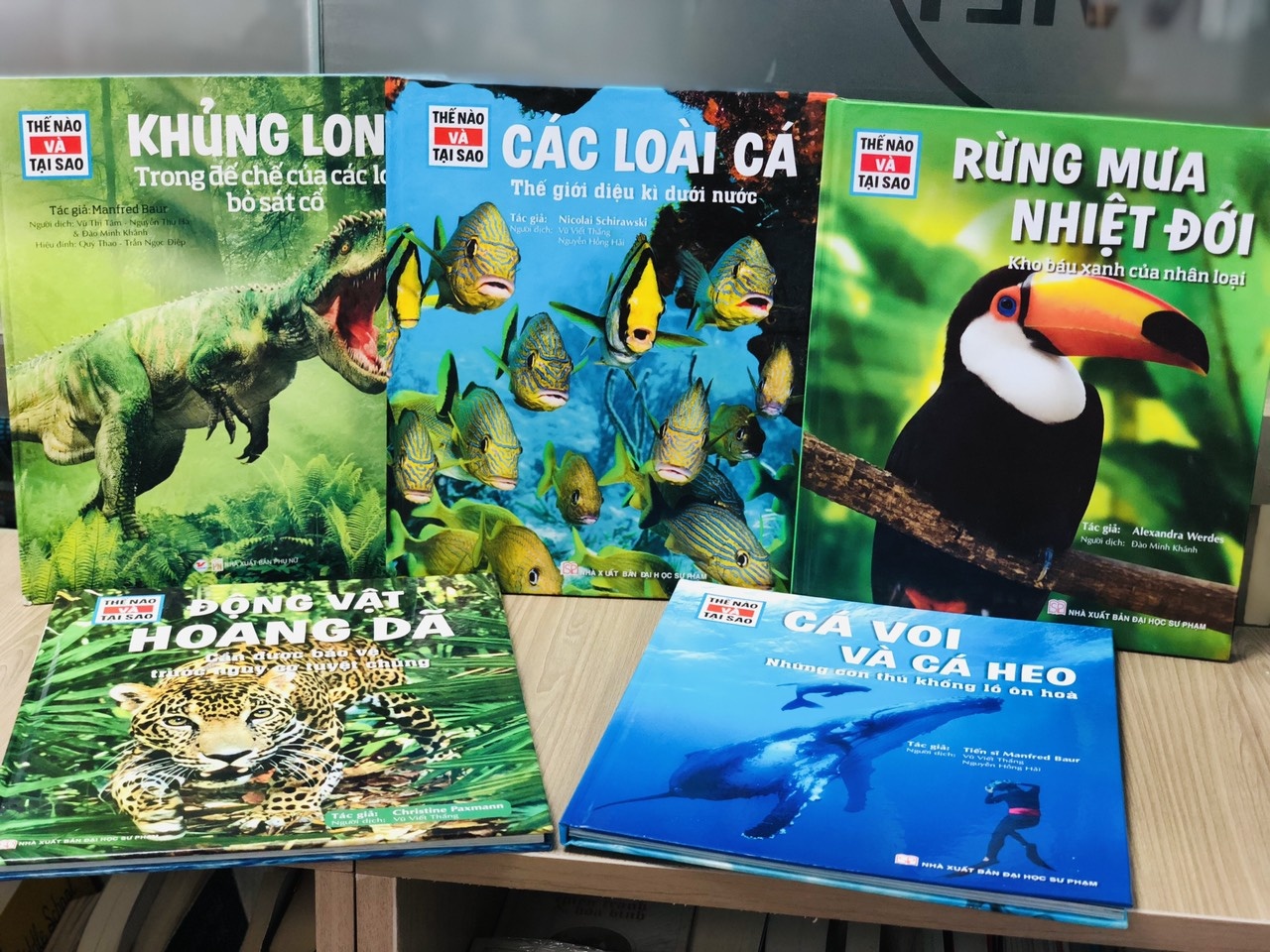 Cuon sach giai dap hang nghin cau hoi cua tre hinh anh