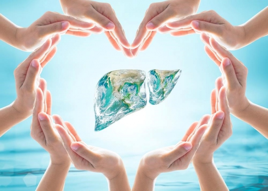 10 giai phap giup bao ve la gan hinh anh