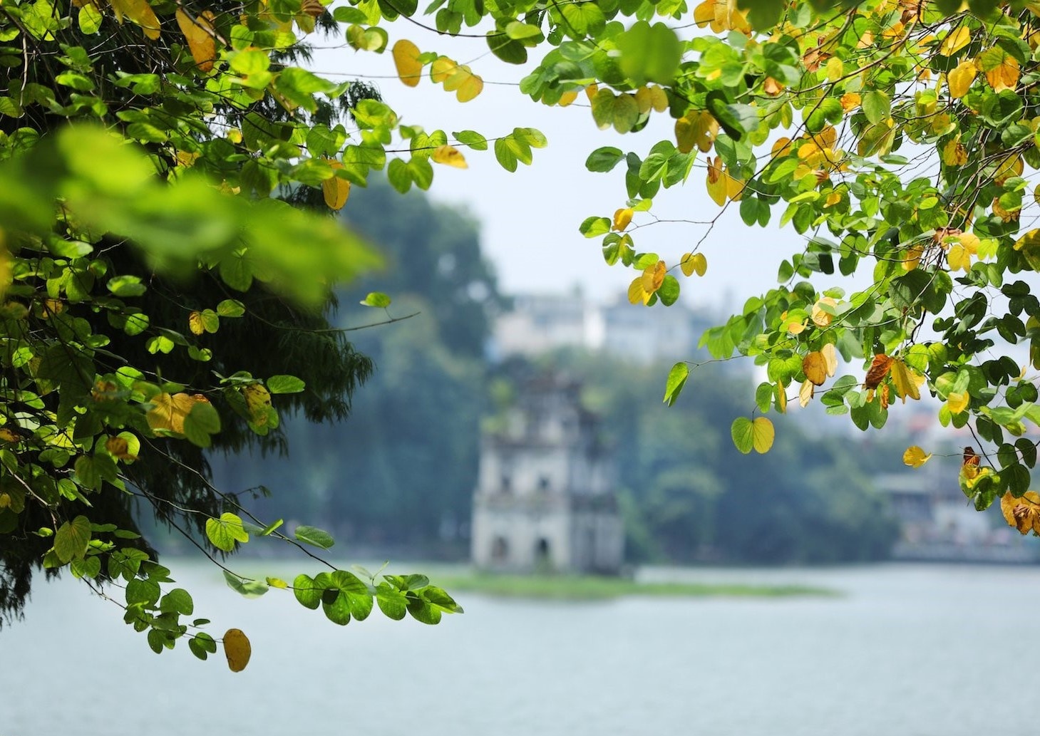 Ha Noi trong toi hinh anh