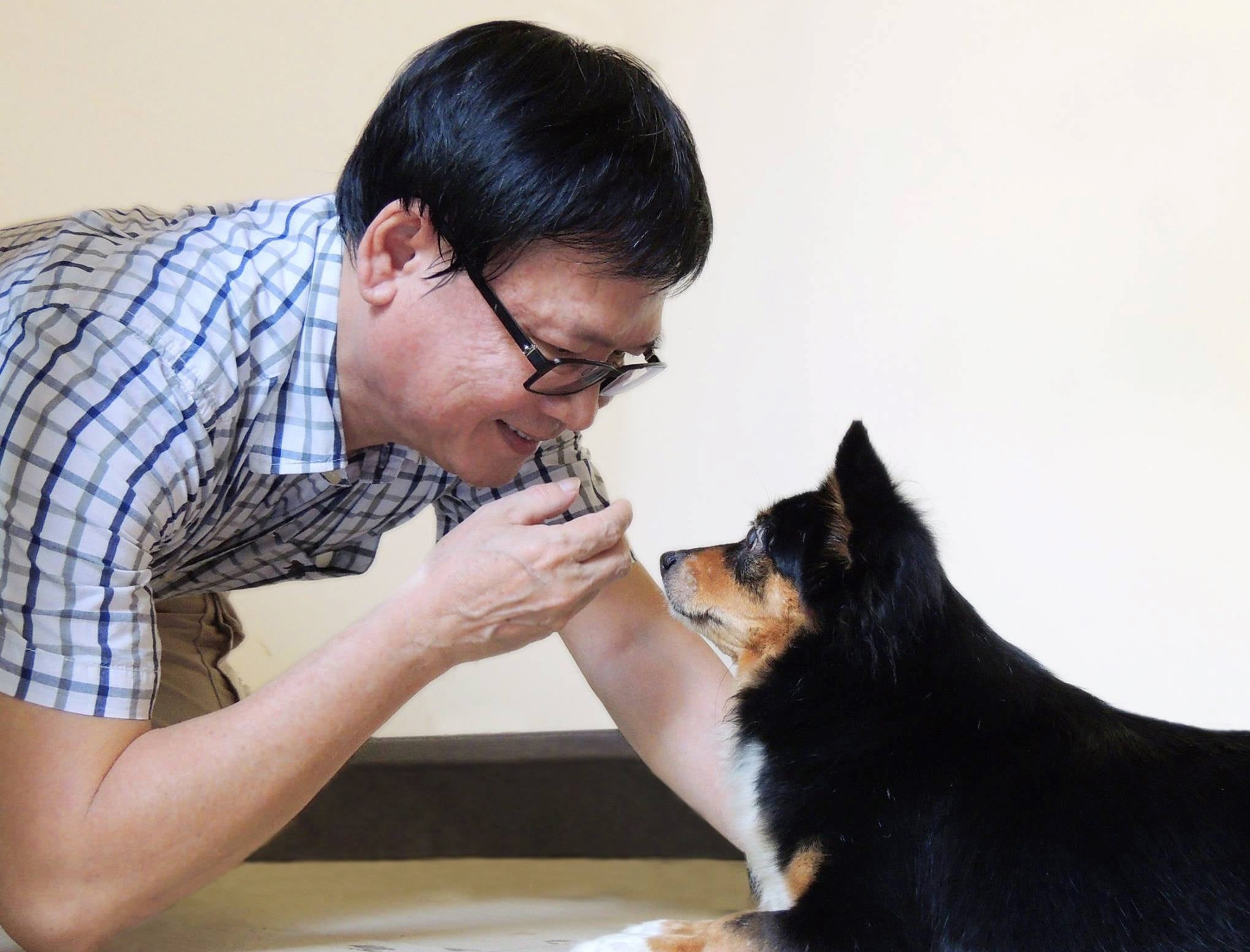 Tinh yeu voi nhung chu cho qua trang sach hinh anh