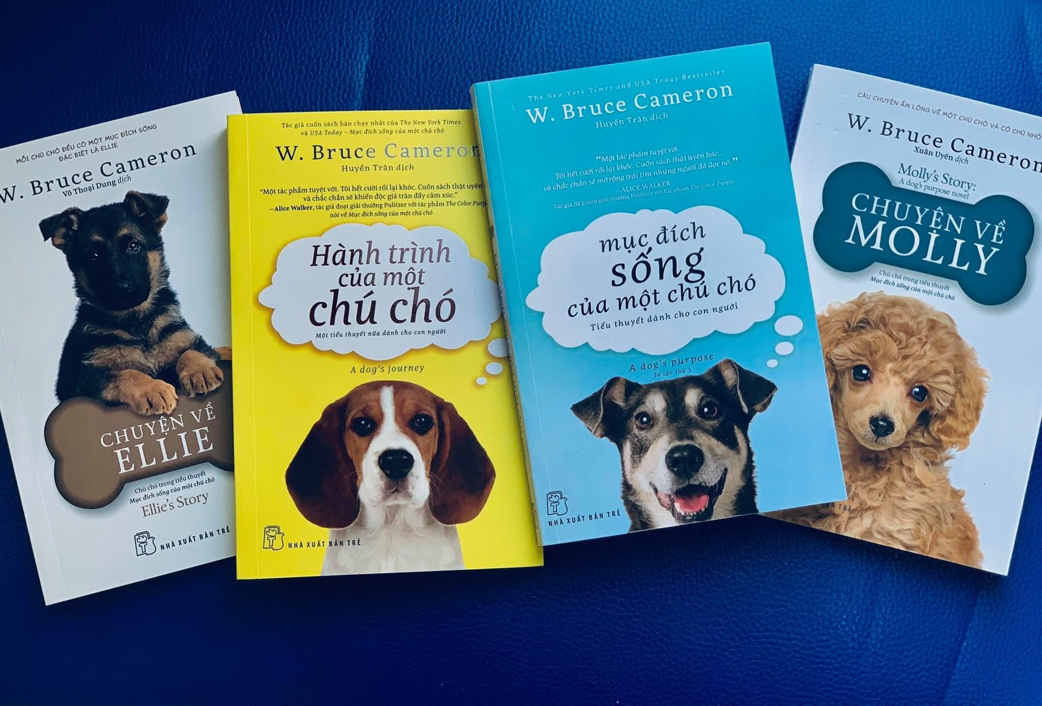 Sach ve nhung chu cho anh 2