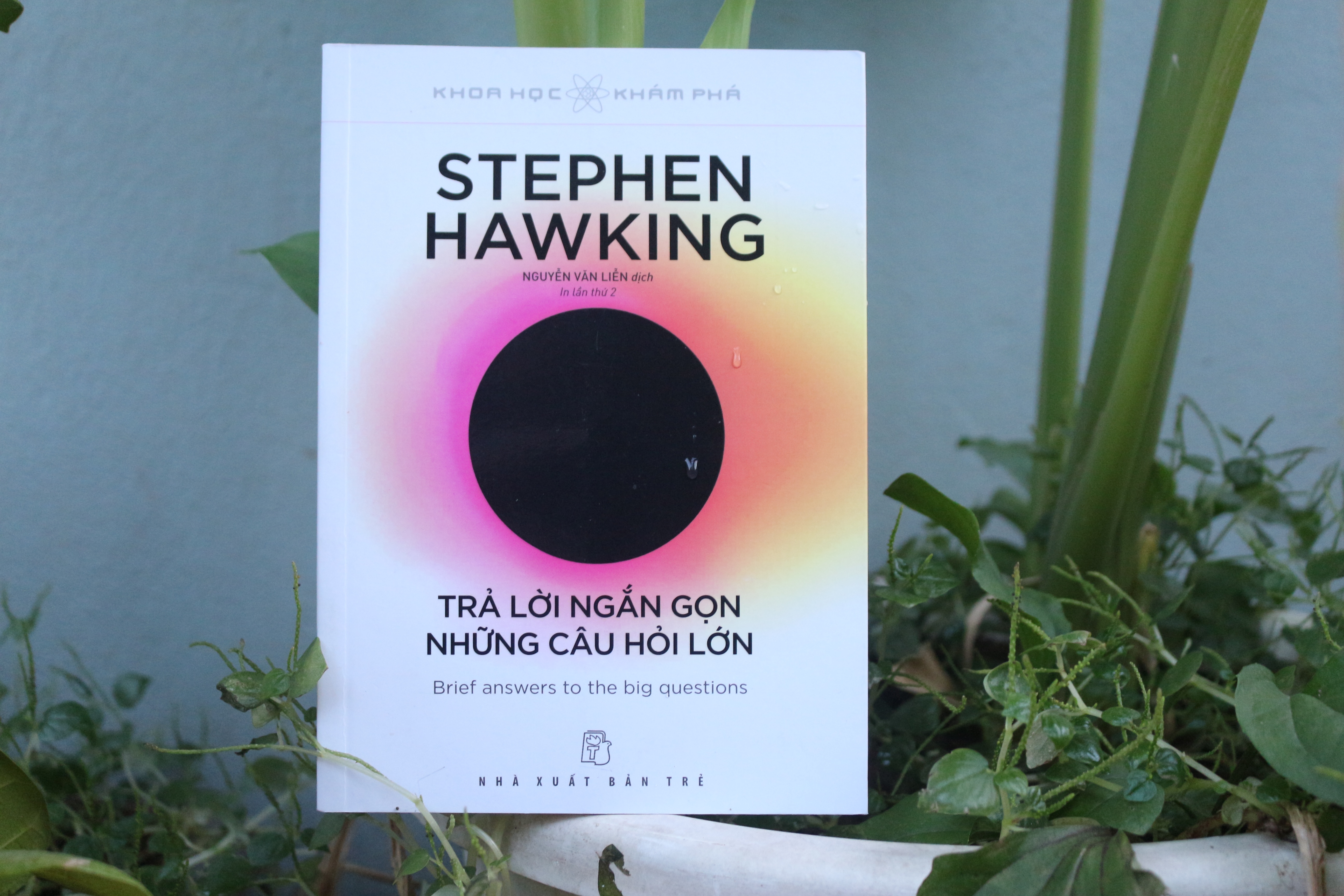 Tra loi ngan gon nhung cau hoi lon anh 2