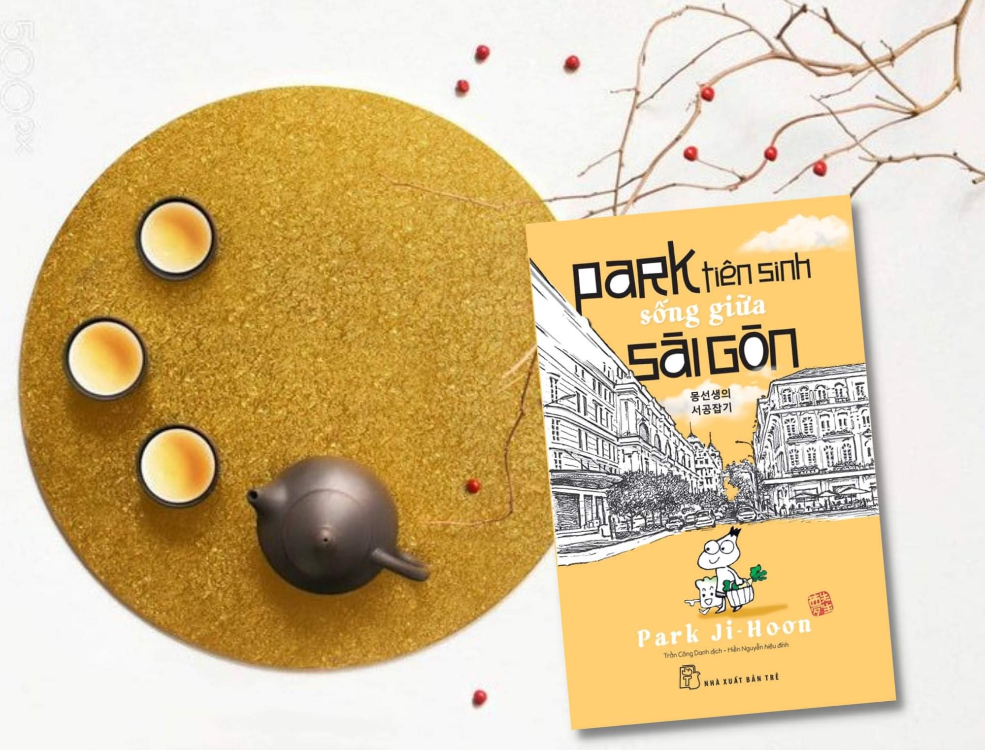 Sach ve Viet Nam anh 1