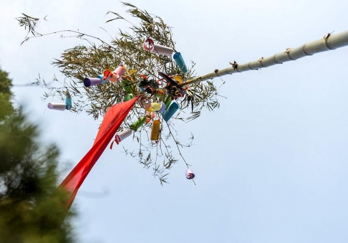 Nguon goc cay neu ngay Tet hinh anh