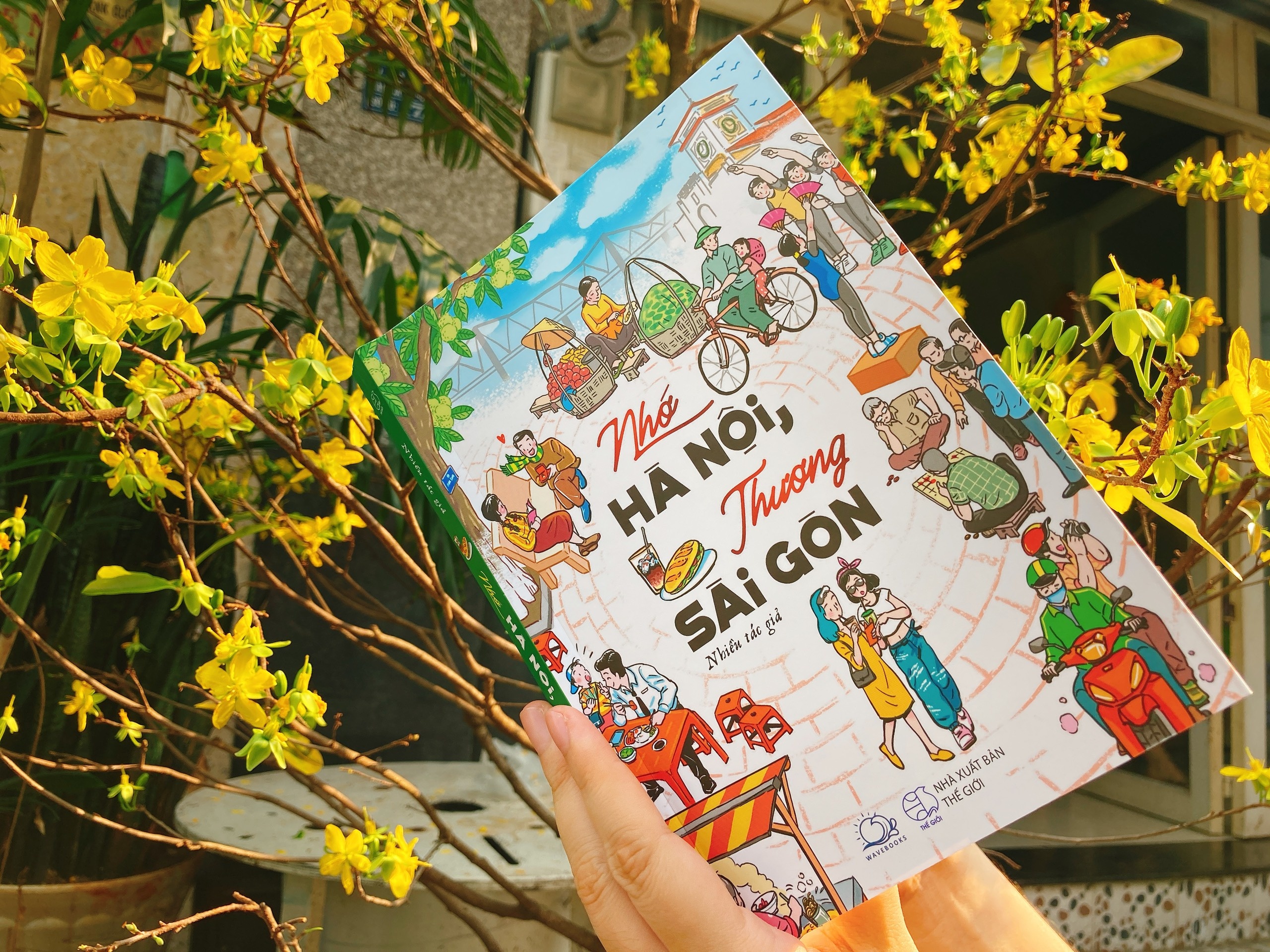 Nhung net dac sac cua Ha Noi va TP.HCM hinh anh