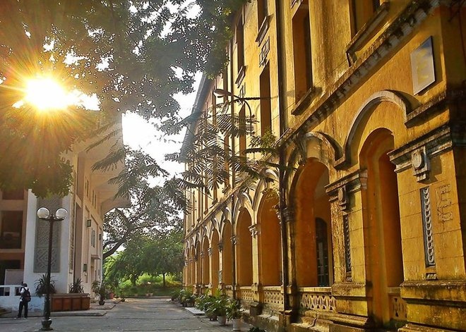 Nhung sac vang Ha Noi hinh anh