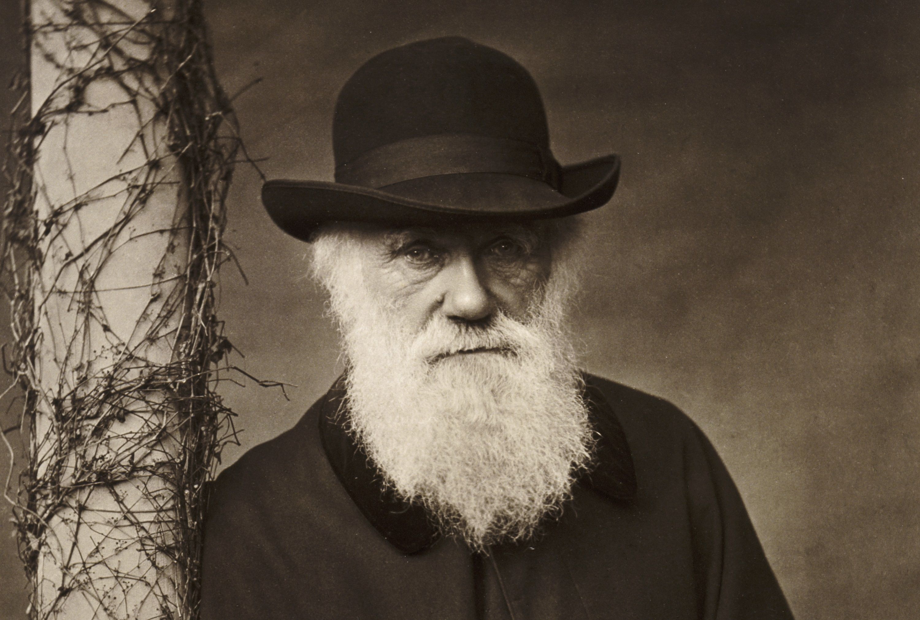 Charles Darwin tung phu su ky vong cua cha me hinh anh
