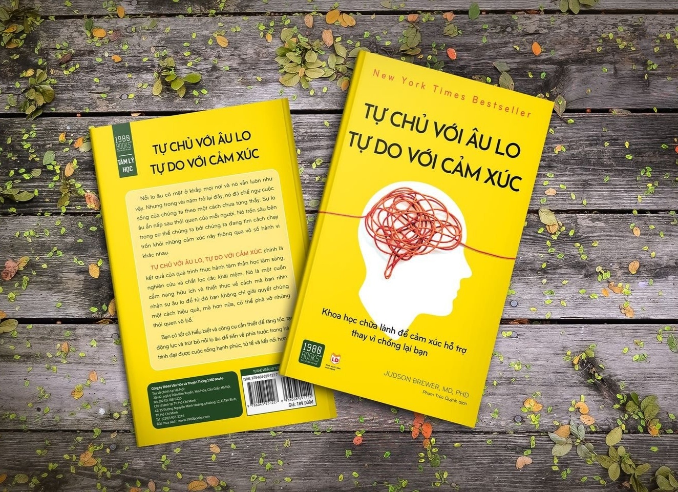 Vuot qua cam xuc tieu cuc hinh anh