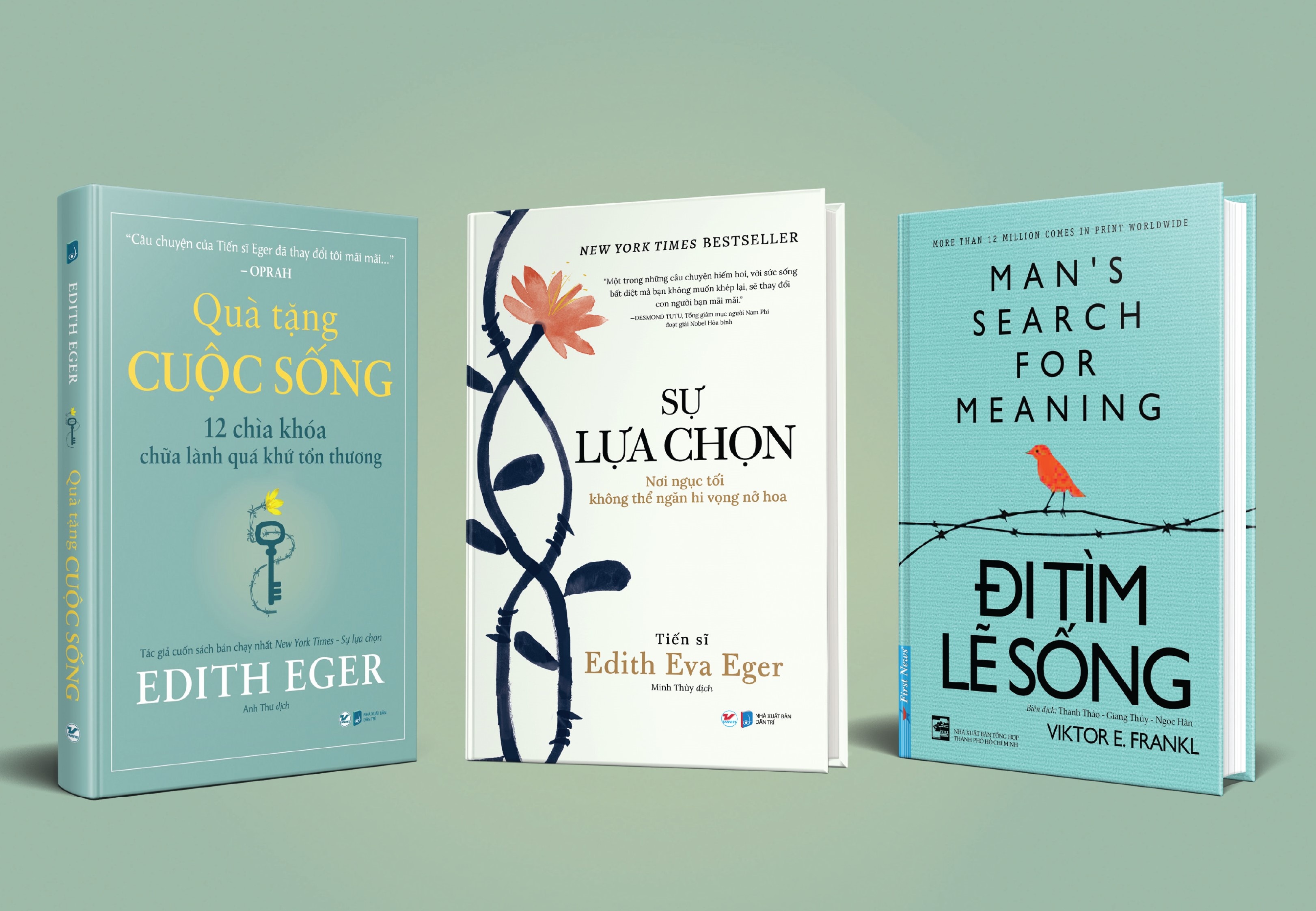 Bai ca ve su vuon len tim tu do hinh anh