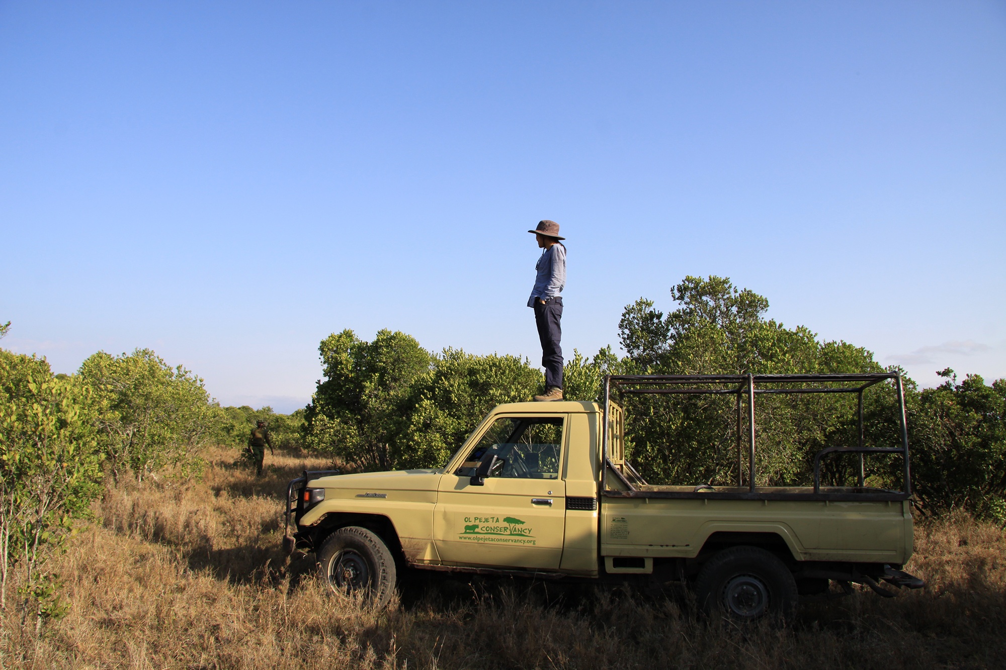 Co gai di theo tieng goi noi hoang da hinh anh
