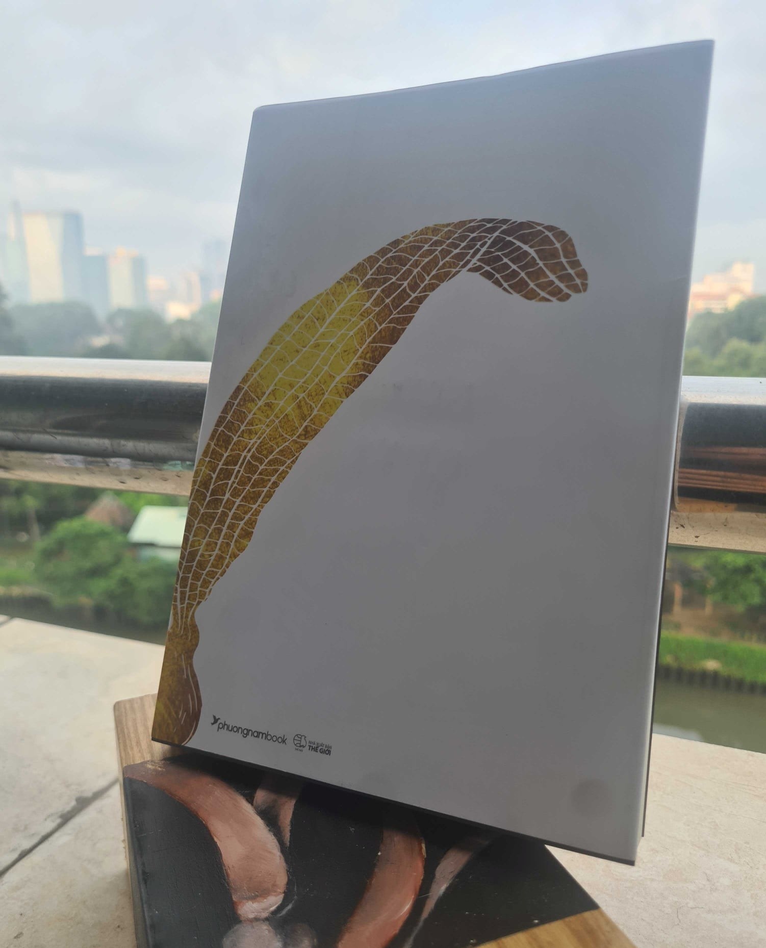 but ky ve TP.HCM anh 1