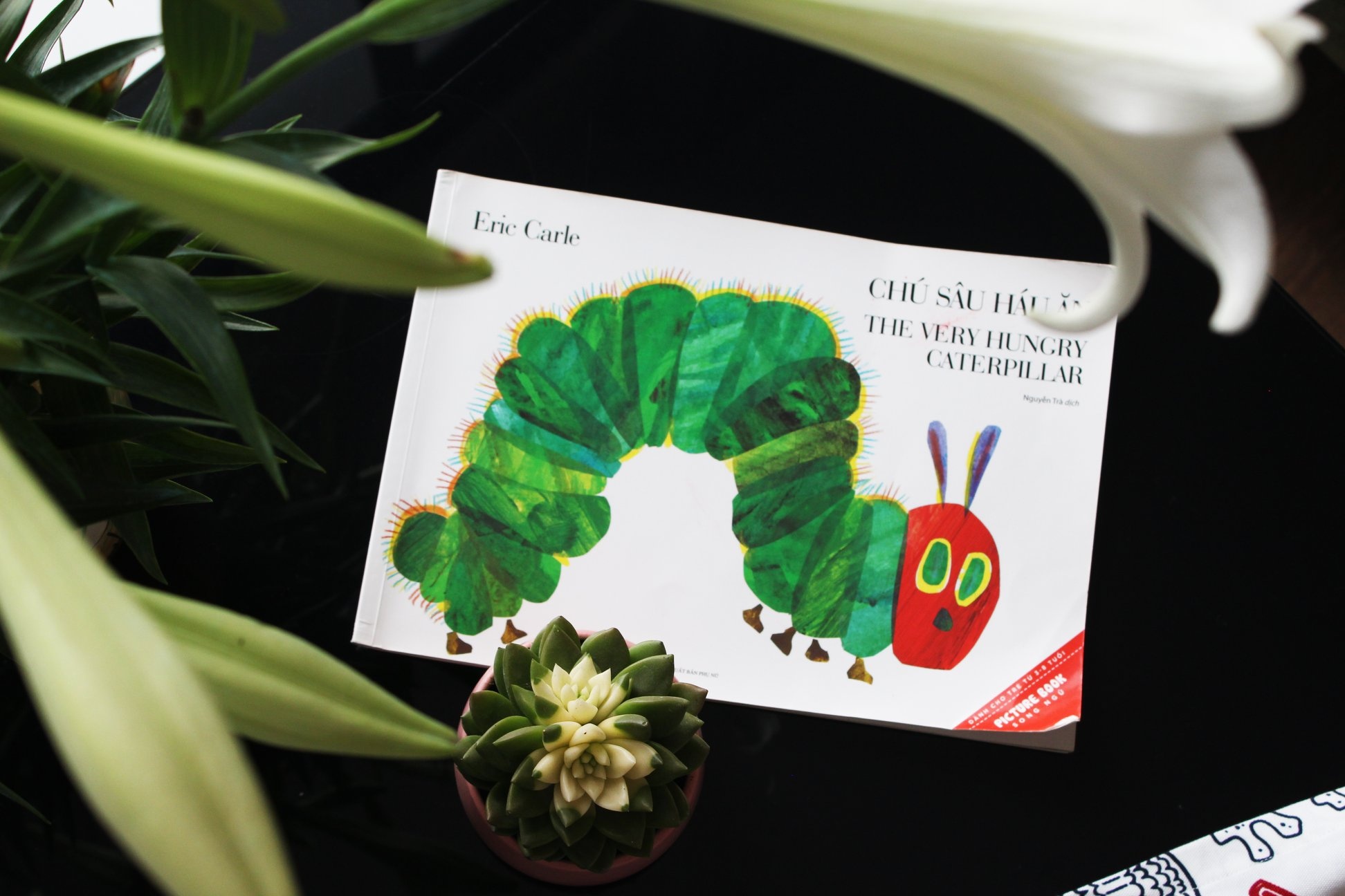 Giai thuong sach tranh thieu nhi quoc te anh 1