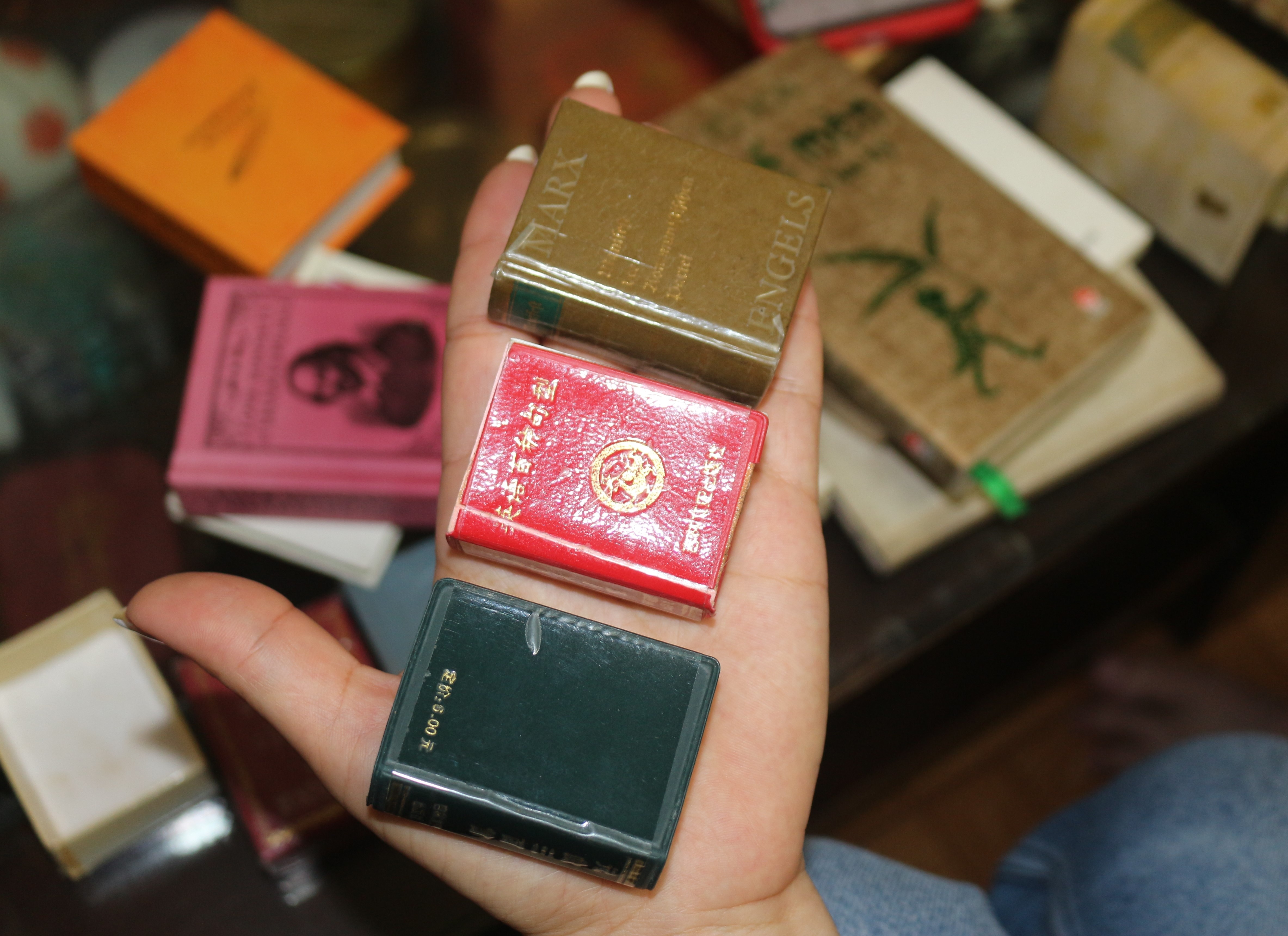 hoa si Nguyen Thanh Dam anh 4